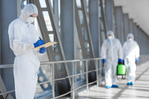 Best Post-Construction Mold Inspection  in Leupp, AZ