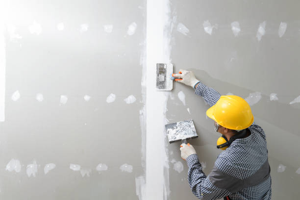 Best Mold Remediation for Healthcare Facilities  in Leupp, AZ
