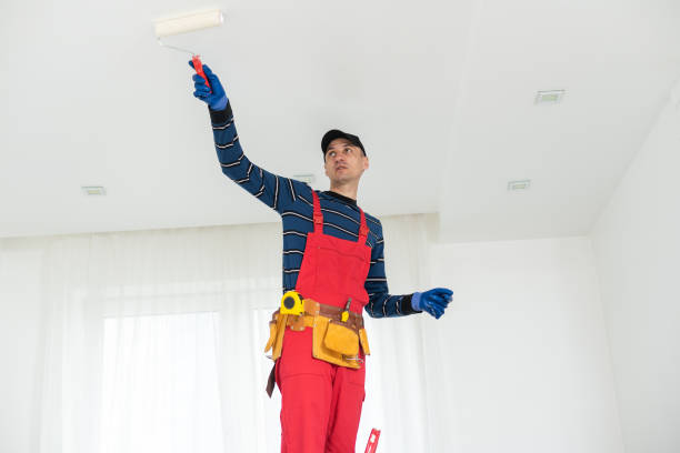 Professional Mold Removal in Leupp, AZ