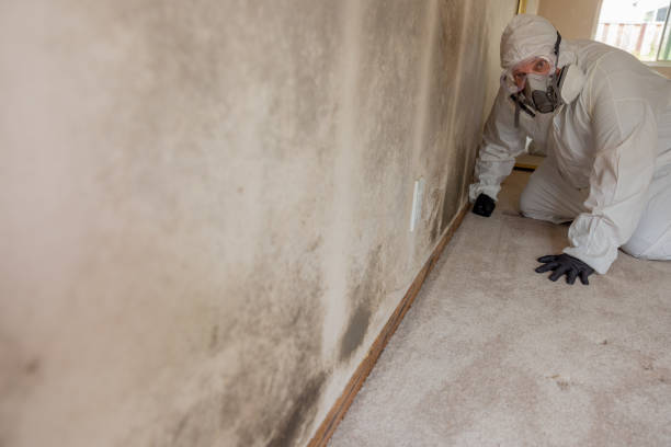 Best Industrial Mold Remediation  in Leupp, AZ