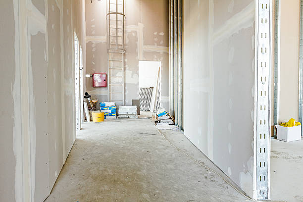 Best Commercial Mold Inspection  in Leupp, AZ